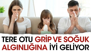 tere-otu-grip-ve-soguk-alginligina-duzgun-geliyor-fwsb1Vxr.jpg