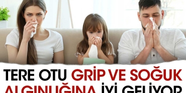 tere-otu-grip-ve-soguk-alginligina-duzgun-geliyor-fwsb1Vxr.jpg