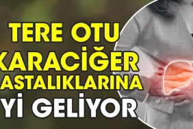 tere-otu-karaciger-hastaliklarina-uygun-geliyor-qw11TvVO.jpg