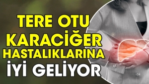 tere-otu-karaciger-hastaliklarina-uygun-geliyor-qw11TvVO.jpg
