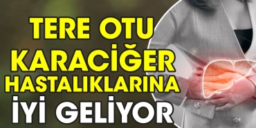tere-otu-karaciger-hastaliklarina-uygun-geliyor-qw11TvVO.jpg