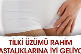 tilki-uzumu-rahim-hastaliklarina-yeterli-geliyor-GOtBvIci.jpg