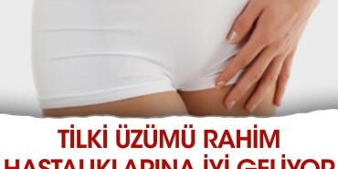 tilki-uzumu-rahim-hastaliklarina-yeterli-geliyor-GOtBvIci.jpg