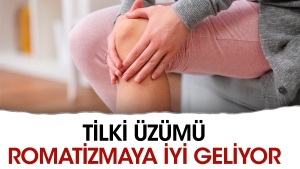 tilki-uzumu-romatizmaya-duzgun-geliyor-mXjuCxcC.jpg