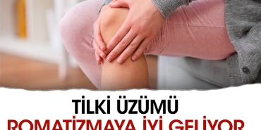 tilki-uzumu-romatizmaya-duzgun-geliyor-mXjuCxcC.jpg