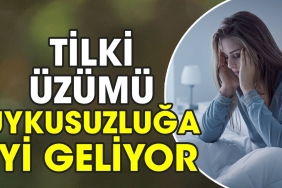 tilki-uzumu-uykusuzluga-yeterli-geliyor-mr47pRyd.jpg