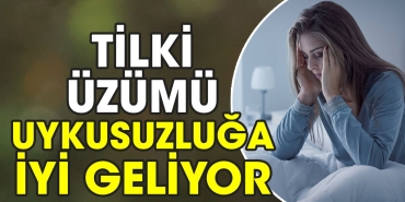 tilki-uzumu-uykusuzluga-yeterli-geliyor-mr47pRyd.jpg