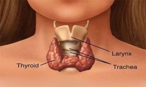 tiroid-guatr-2jxyWgQk.jpg