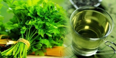 toksinlere-elveda-maydanoz-suyunun-yararlari-U7vbzHhv.jpg