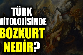 turk-mitolojisinde-bozkurt-nedir-KNc5PK6a.jpg