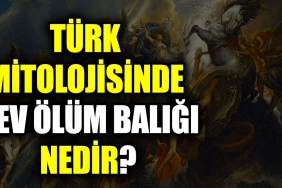 turk-mitolojisinde-dev-vefat-baligi-nedir-Us5gN5TA.jpg