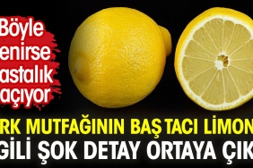 turk-mutfaginin-bas-taci-limonla-ilgili-sok-ayrinti-ortaya-cikti-bu-turlu-yenirse-hastalik-kNKKUGMQ.jpg