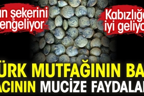 turk-mutfaginin-bas-tacinin-mucize-yararlari-kabizliga-yeterli-geliyor-kan-sekerini-dengeliyor-LJW9i1jP.jpg