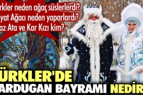 turklerde-nardugan-bayrami-nedir-turkler-neden-agac-suslerlerdi-NSLUdPmN.jpg