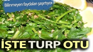 turp-otunun-bilinmeyen-yararlari-nelerdir-mJmkq2Gi.jpg