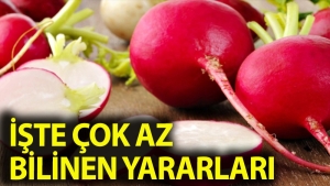 turpun-cok-az-bilinen-faydalari-neler-1KgumXUI.jpg
