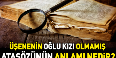 usenenin-oglu-kizi-olmamis-atasozunun-manasi-nedir-PsSxHDOf.jpg