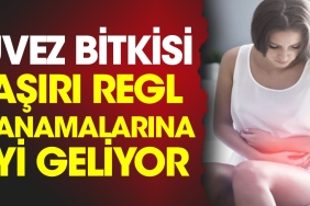 uvez-bitkisi-cok-regl-kanamalarina-guzel-geliyor-W2c1iL3d.jpg
