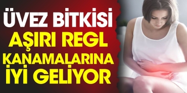 uvez-bitkisi-cok-regl-kanamalarina-guzel-geliyor-W2c1iL3d.jpg