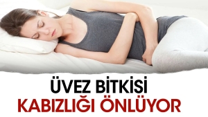 uvez-bitkisi-kabizligi-onluyor-ENQqYxgd.jpg