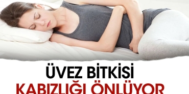 uvez-bitkisi-kabizligi-onluyor-ENQqYxgd.jpg