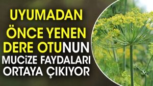 uyumadan-evvel-yenen-dereotunun-mucize-yararlari-ortaya-cikiyor-pzkGMl1r.jpg