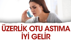 uzerlik-otu-astima-uygun-gelir-cK5UQI47.jpg