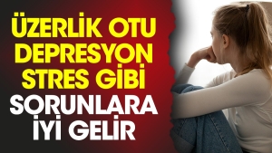 uzerlik-otu-depresyon-gerilim-uzere-sikintilara-uygun-gelir-m1nkIL8i.jpg