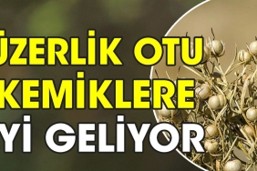 uzerlik-otu-kemiklere-uygun-geliyor-LdVBkQ2x.jpg