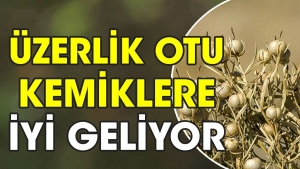 uzerlik-otu-kemiklere-uygun-geliyor-LdVBkQ2x.jpg