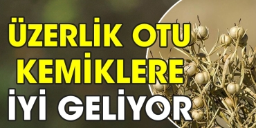 uzerlik-otu-kemiklere-uygun-geliyor-LdVBkQ2x.jpg