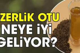 uzerlik-otu-neye-l-geliyor-LL7u25pY.jpg