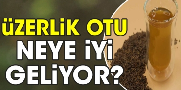 uzerlik-otu-neye-l-geliyor-LL7u25pY.jpg