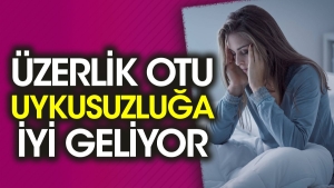 uzerlik-otu-uykusuzluga-yeterli-geliyor-mCK8ORjv.jpg