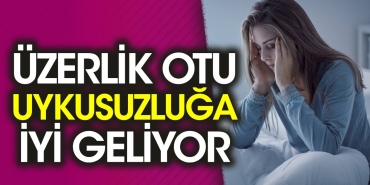 uzerlik-otu-uykusuzluga-yeterli-geliyor-mCK8ORjv.jpg