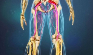 uzmanindan-piriformis-sendromu-uyarisi-3N5dfdeQ.jpg