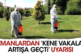 uzmanlardan-kene-olaylari-artisa-gecti-uyarisi-4BgueUs3.jpg