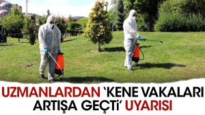 uzmanlardan-kene-olaylari-artisa-gecti-uyarisi-4BgueUs3.jpg