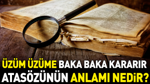 uzum-uzume-baka-baka-kararir-atasozunun-manasi-nedir-gLn2zFTG.jpg