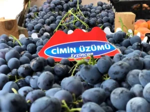 uzumlu-ilcesinde-cimin-uzumu-hasadi-basladi-myAVkGzU.jpg