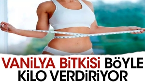 vanilya-bitkisi-bu-turlu-kilo-verdiriyor-P83CB1KX.jpg