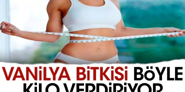vanilya-bitkisi-bu-turlu-kilo-verdiriyor-P83CB1KX.jpg