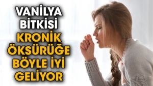 vanilya-bitkisi-kronik-oksuruge-bu-turlu-guzel-geliyor-e2KPQC2A.jpg