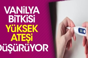 vanilya-bitkisi-yuksek-atesi-dusuruyor-R8U4r2qB.jpg