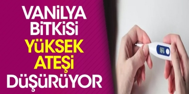 vanilya-bitkisi-yuksek-atesi-dusuruyor-R8U4r2qB.jpg