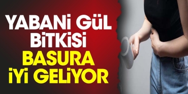 yabani-gul-bitkisi-basura-guzel-geliyor-t2nNBJsH.jpg