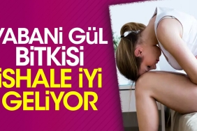 yabani-gul-bitkisi-ishale-l-geliyor-264O1MuL.jpg