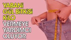 yabani-gul-bitkisi-kilo-vermeye-yardimci-oluyor-Ql3FC2p2.jpg