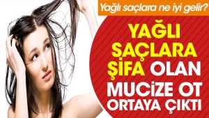 yagli-saclara-sifa-olan-mucize-ot-ortaya-cikti-yagli-saclara-ne-guzel-gelir-ULGe43pr.jpg