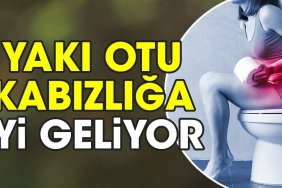 yaki-otu-kabizliga-l-geliyor-b1RqxRv5.jpg